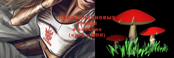 хмурый Кинешма