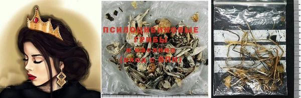 spice Киреевск
